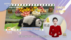 国产人成午夜免费噼啪视频